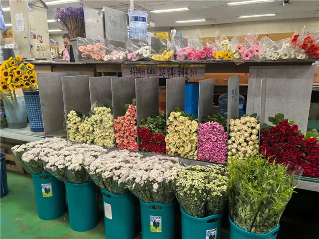 科技創(chuàng)新賦能云花 呈貢區(qū)打造花卉產業(yè)新高地