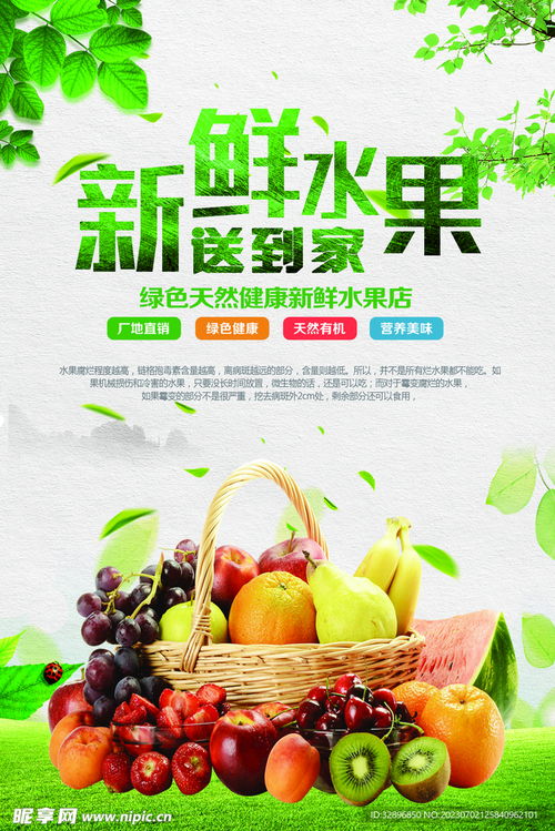新鮮水果的設計美學 從果香到視覺的精致表達