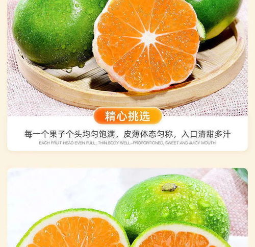 產地直發 當清晨第一箱“石門青皮蜜桔”來到你面前