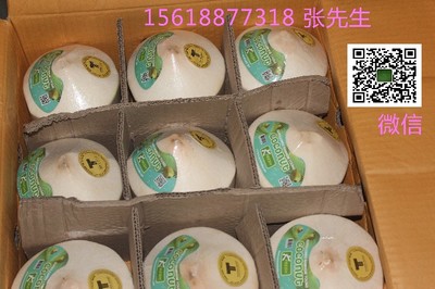 上海新鮮進(jìn)口水果批發(fā)與高檔水果配送服務(wù)全解析